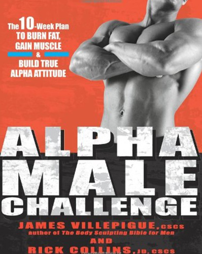 Cover of The Alpha Male Challenge